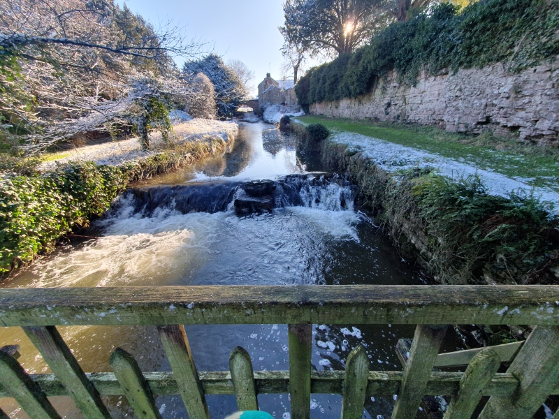 Morland House Gardens